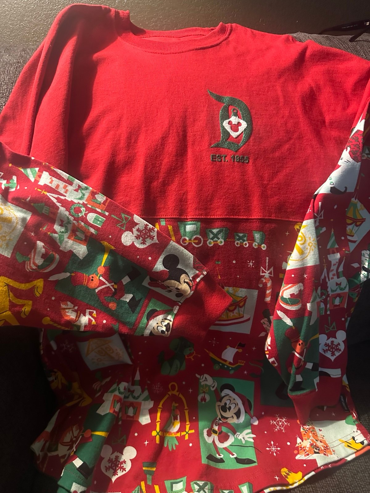 Disneyland Christmas Spirit Jersey