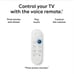 Google Chromecast HD