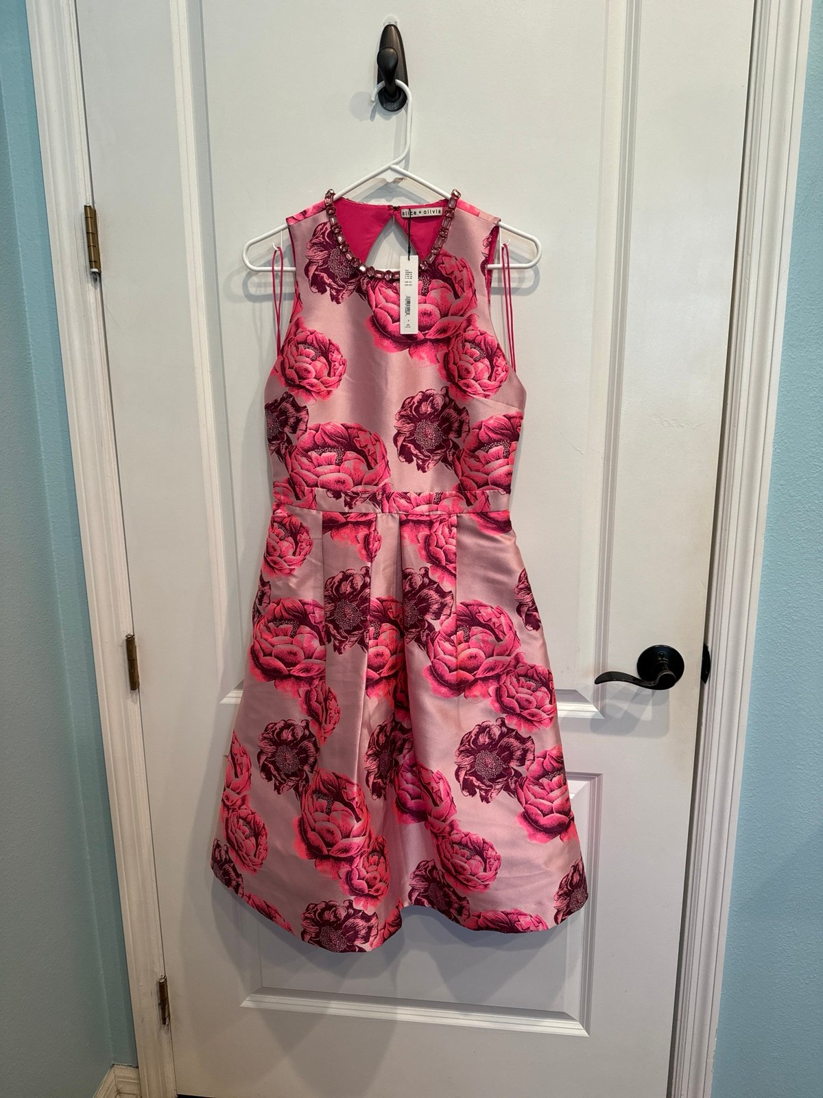 Alice and Olivia Cherra  Dress