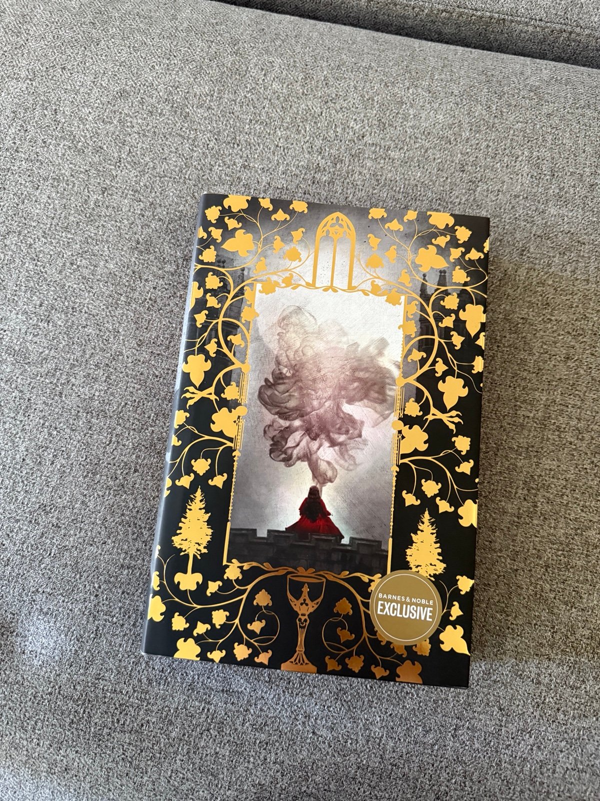 one dark window Barnes and noble exclusive