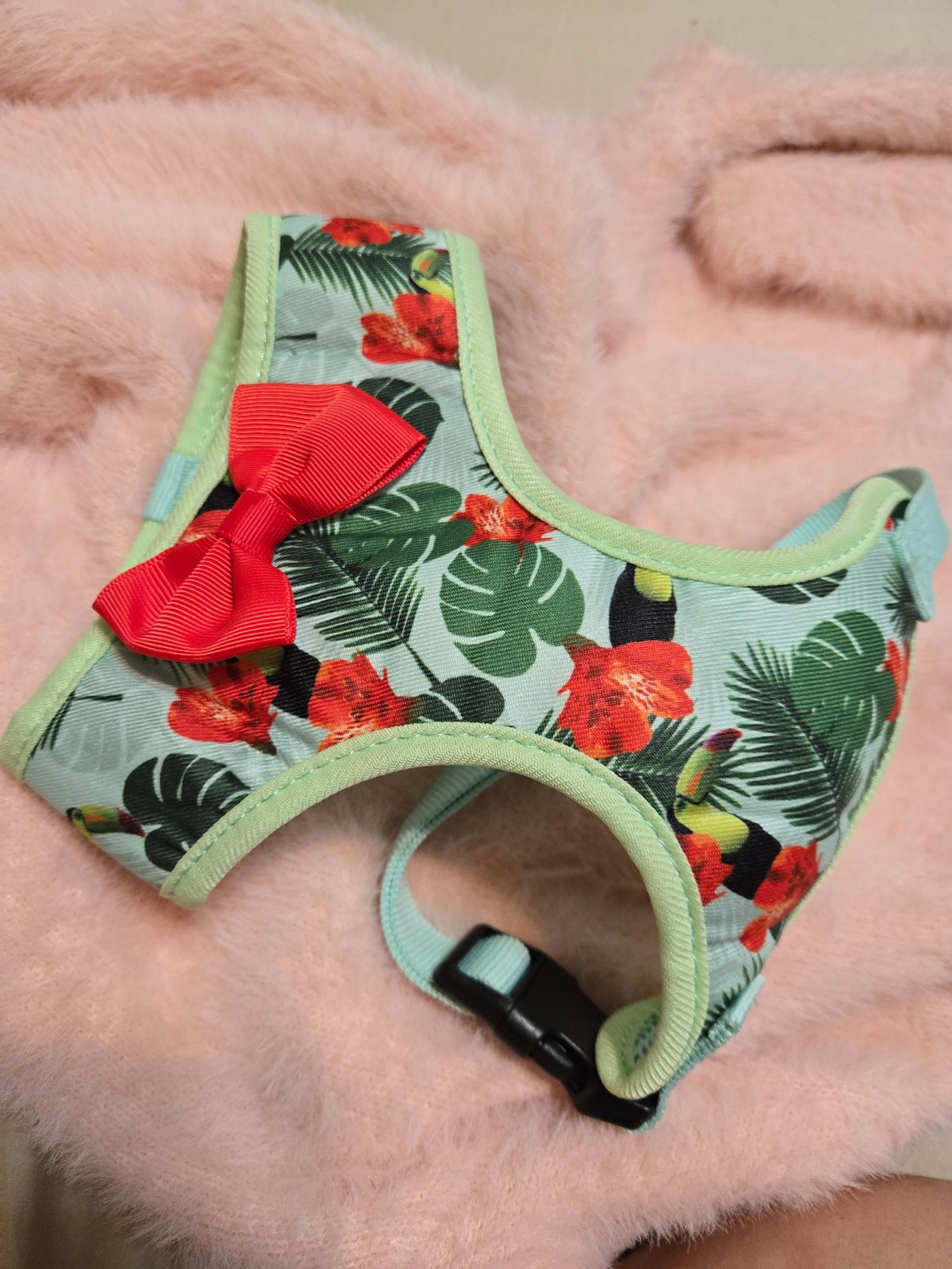 Dog Harness
