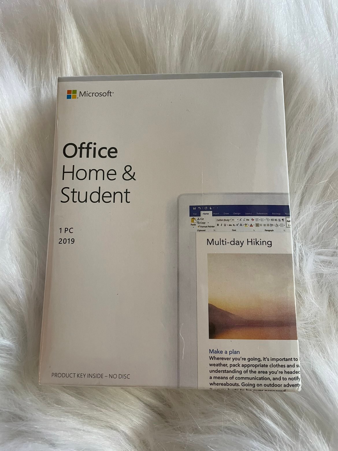 Microsoft Office Home and Student