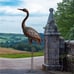 Outdoor Garden Crane Statues and Sculptures Metal Yard Art Sculptures