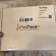 Pet pace health