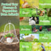 OZMI GARDEN CHICKEN WIRE CLOCHES.