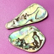 Lot of abalone cabochons. 991
