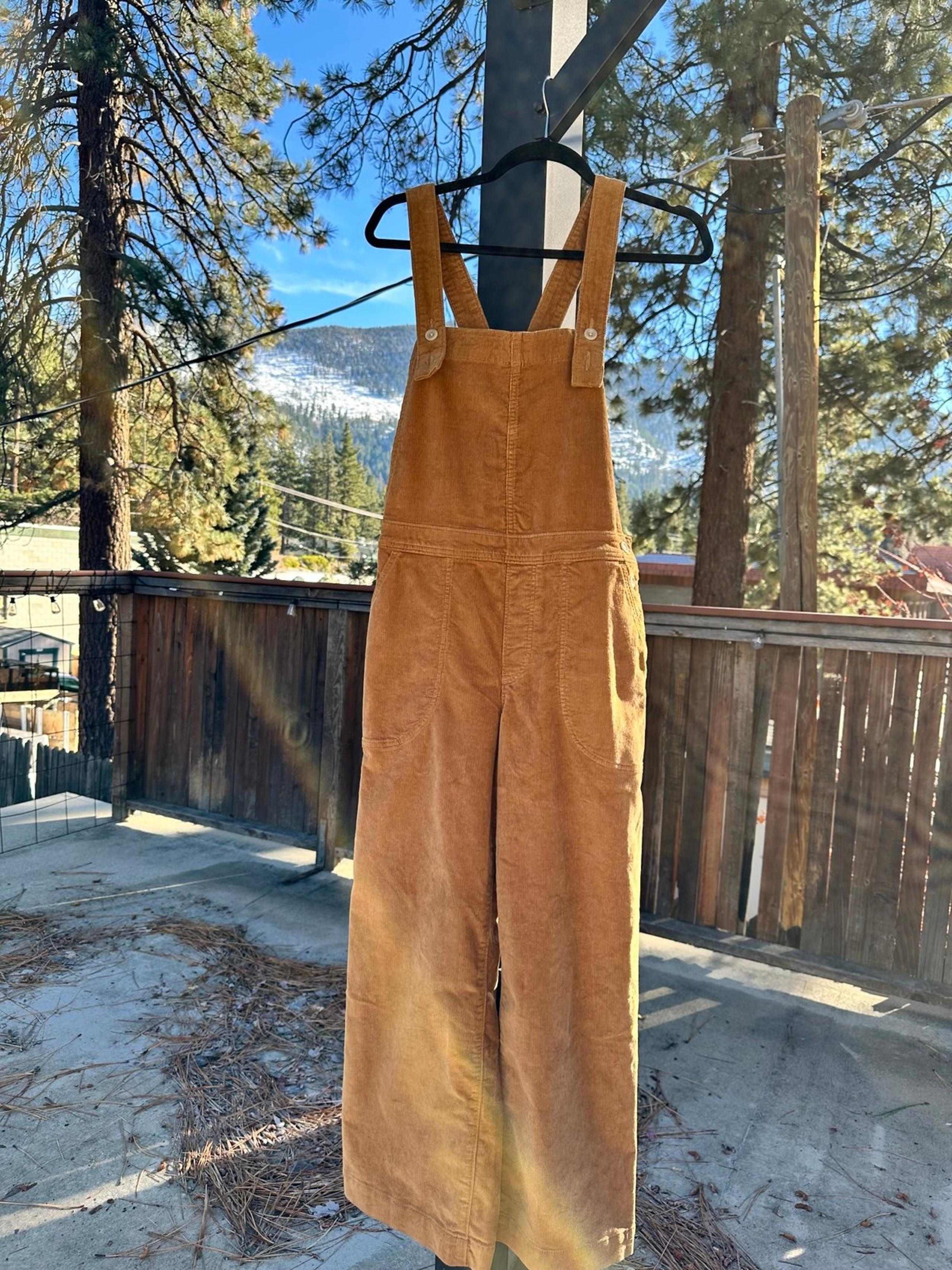 Patagonia Brown Corduroy Overalls - Size 2 - New with tags