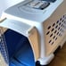 Dog carrier