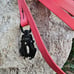 Custom SMTDogo Biothane 20' Longline with FrogClip
