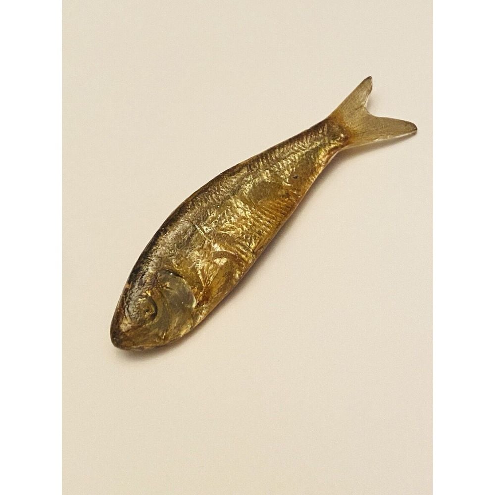 VTG 1981 Ken Loeber Brooch Pin Signed Minnow Fish Acrylic Ichthyology Art MOD