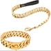 Gold Cuban dog coller and leash