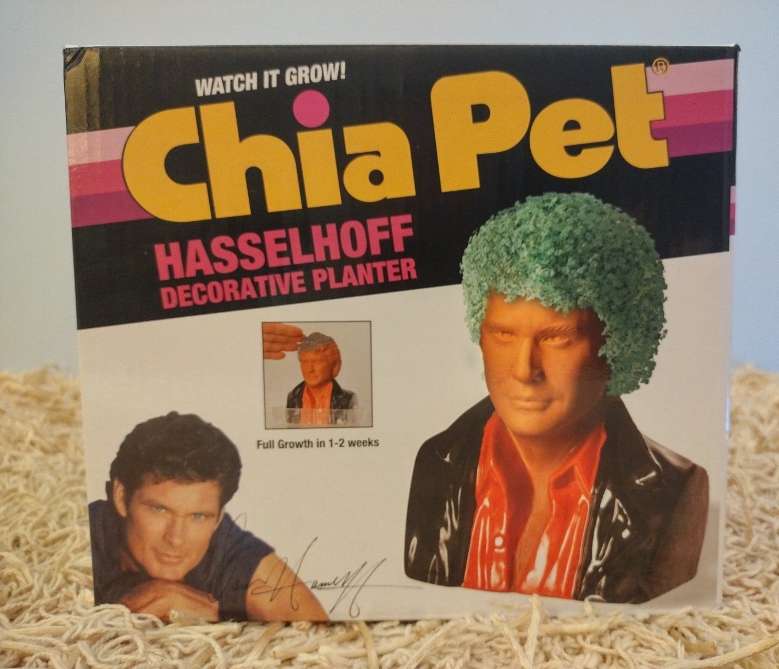 David Hasselhoff