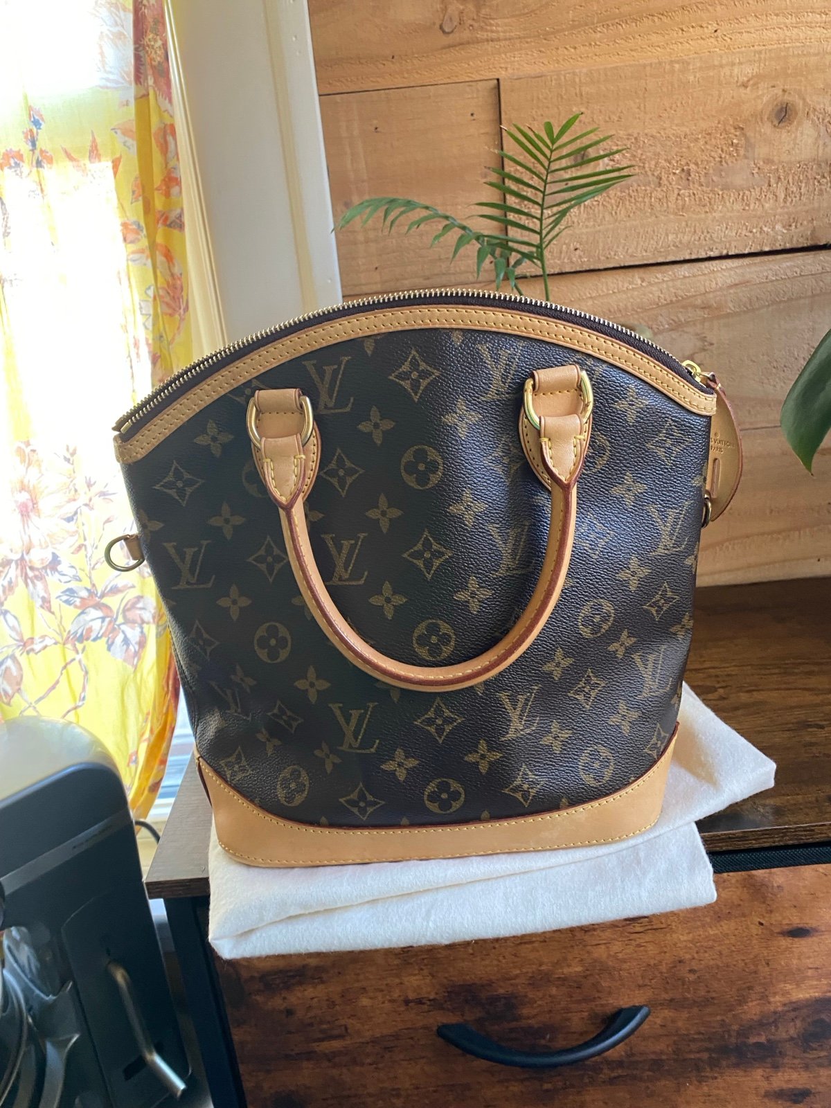 louis vuittons handbags