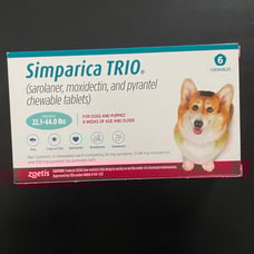 Flea & Tick for Dogs