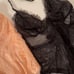 VIctoria Secret 2 Teddys M/S lace New