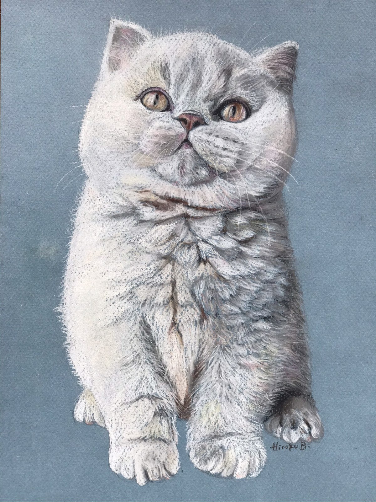 Original pastel drawing of a white cat