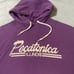 Vintage 70s 80s Pecatonica Illinois Purple Hoodie Sweatshirt Midwest USA Indian
