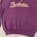 Vintage 70s 80s Pecatonica Illinois Purple Hoodie Sweatshirt Midwest USA Indian