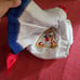 Sailor Moon cloth diaper