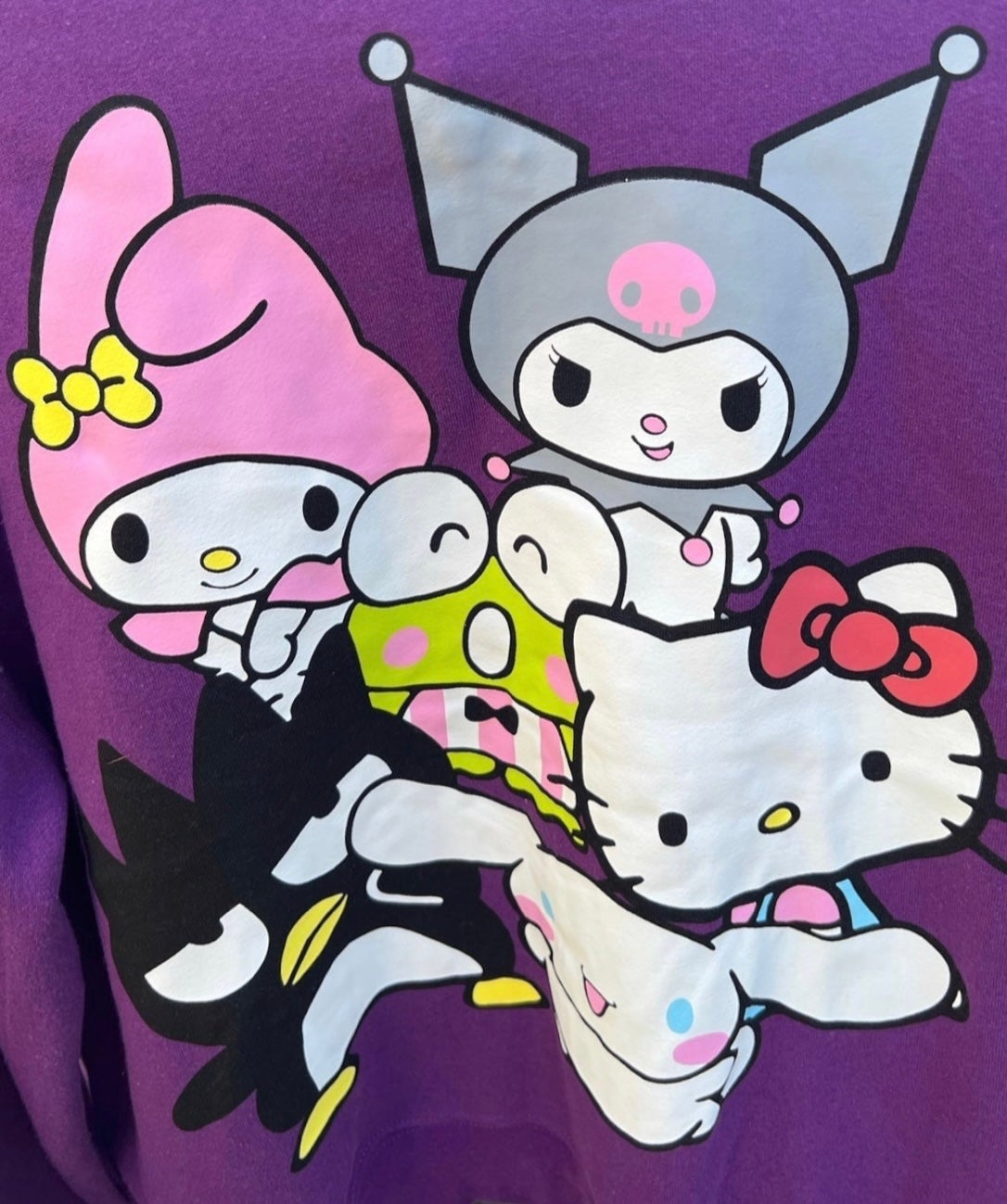 Hello Kitty & Friends Hood Zip Up | multiple sizes available