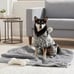 UGG Dog / Pet Avery Stars Hooded Dog Pajamas PJ’s in Glacier Grey - Size Large