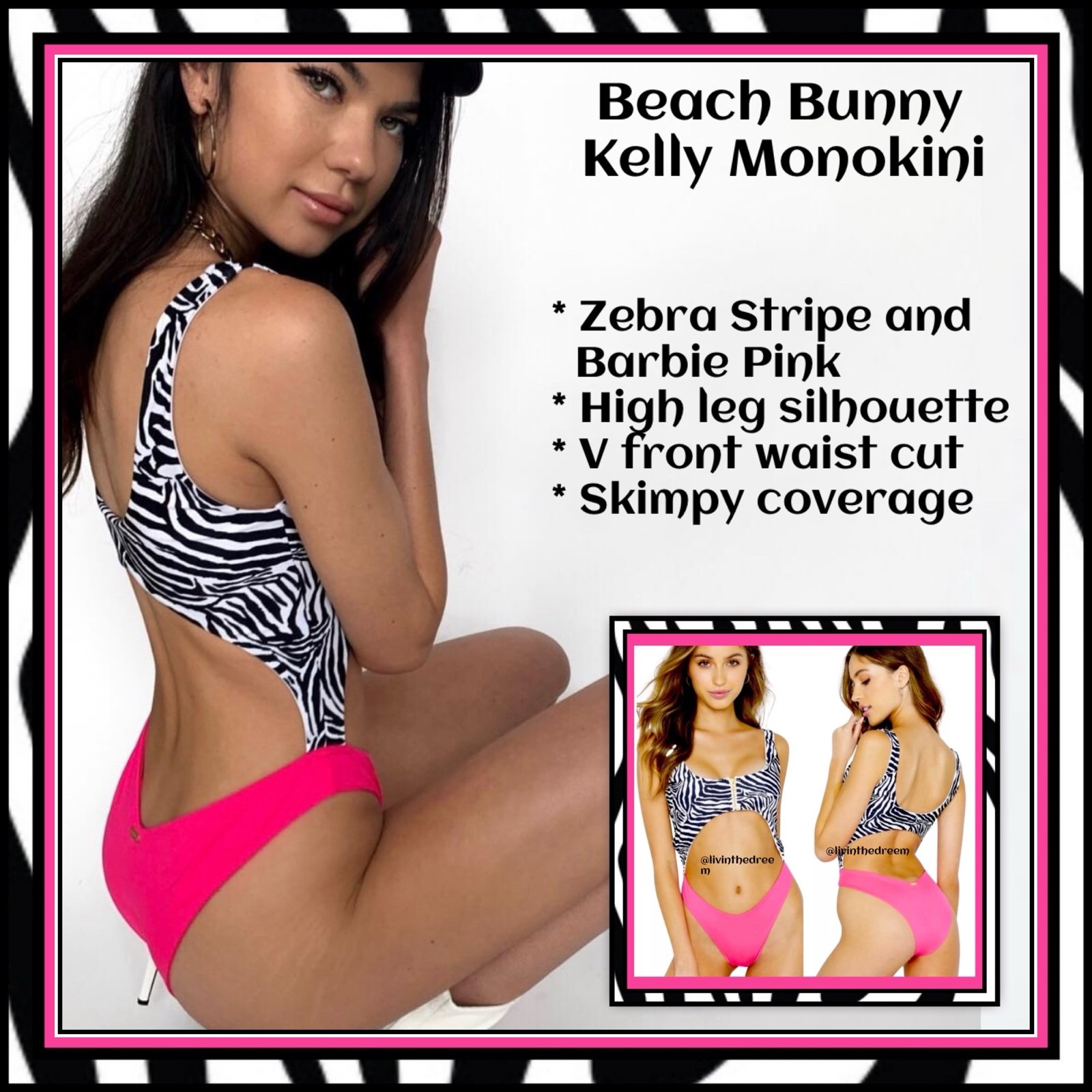 Beach Bunny Kelly Monokini One Piece in Zebra Stripe and Barbie Pink SZ L 170