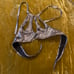 Silver Halter Rave Top