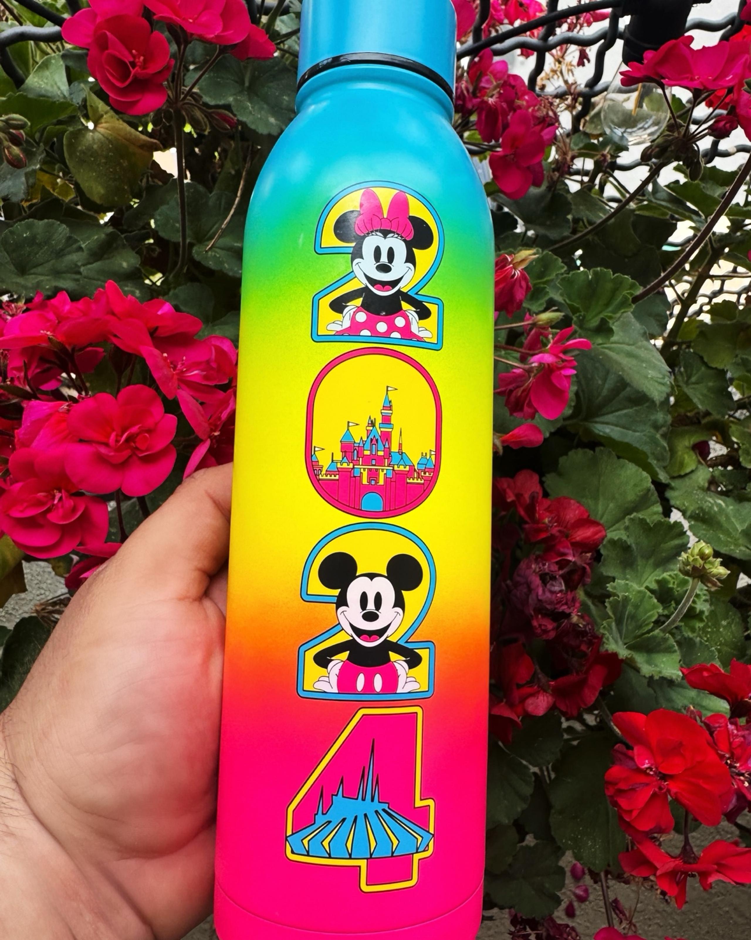 Disneyland 2024 Tumbler Metal 20oz