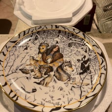 Collectible plates