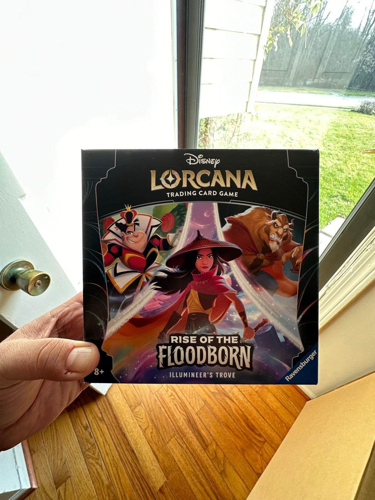 Disney Lorcana Floodborn Trove