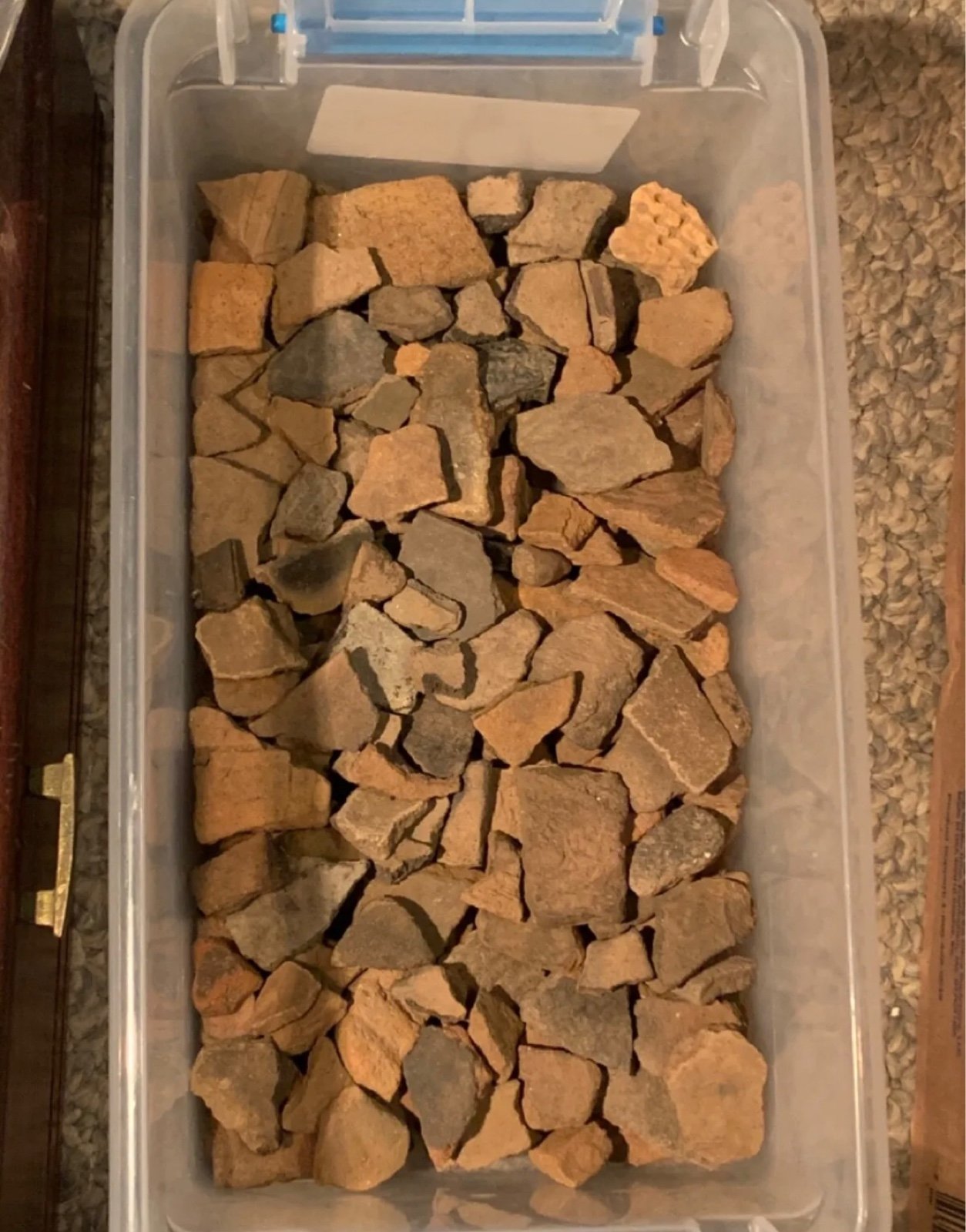 Native pottery fragments approx 10 lbs and a coconut?