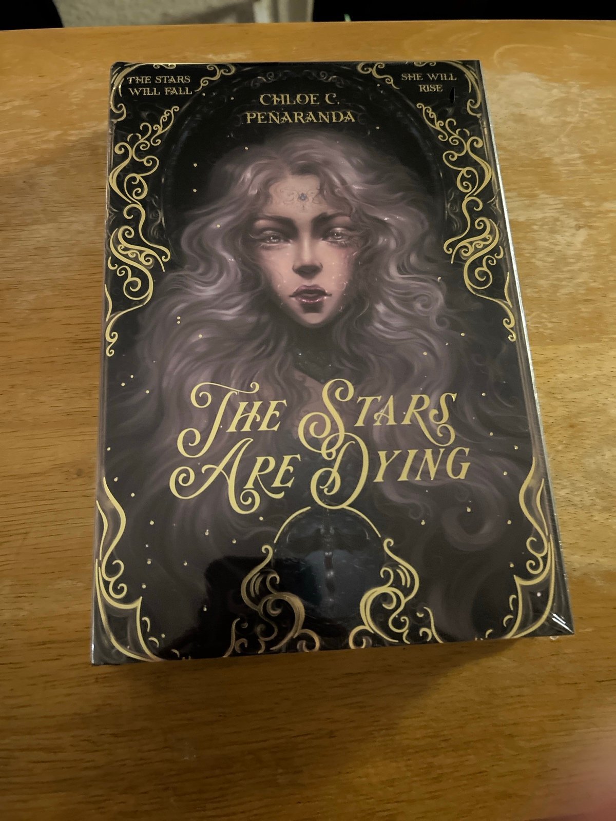 The Stars are Dying Bookish Box