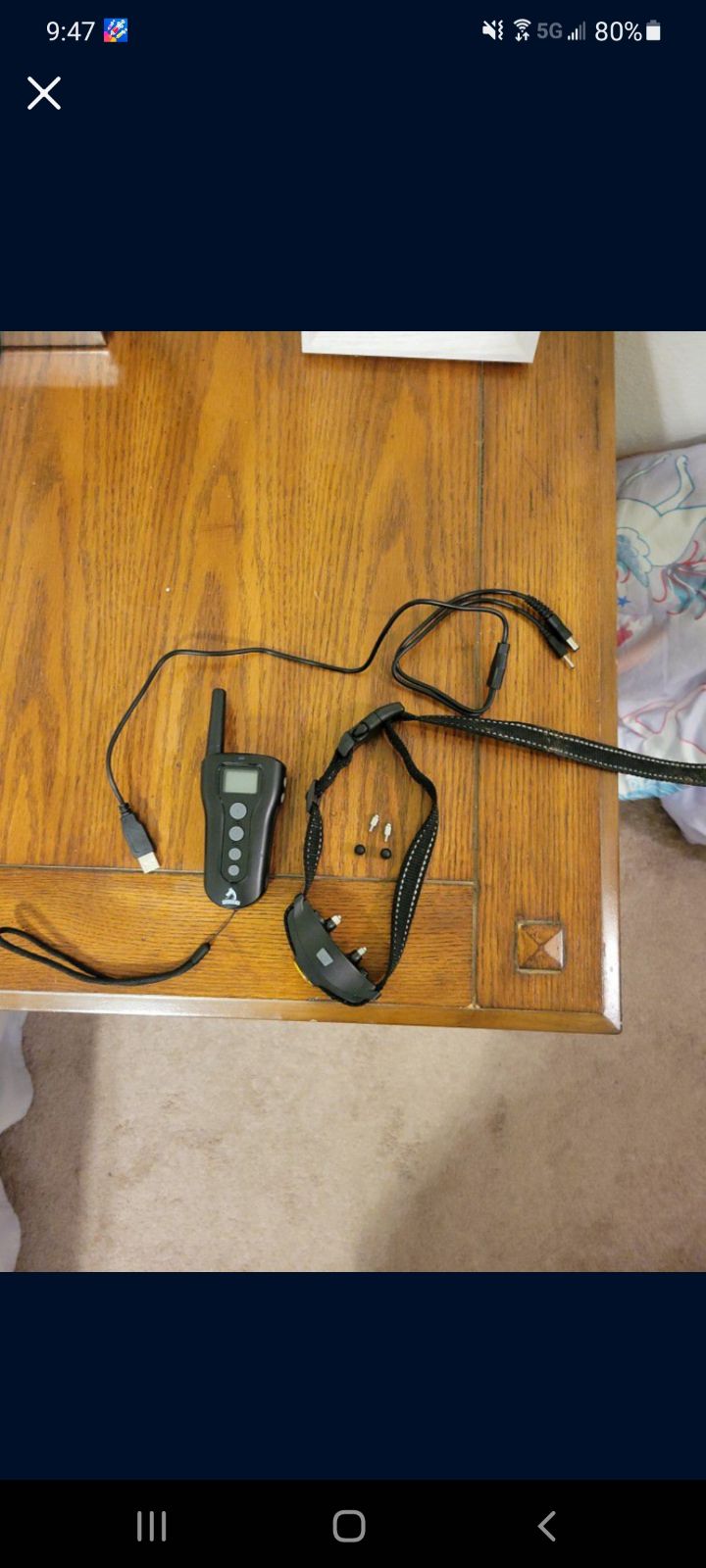 dog training collar