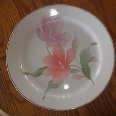 Lot 7 Corelle Island Breeze dinner plates