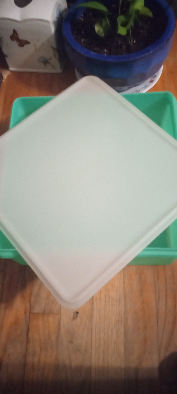 Tupperware square green storage