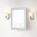 Glacier Bay 15.12 in. W x 19.25 in. H Recessed Medicine Cabinet with Mirror