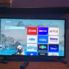 30 inch sceptre TV (not with the roku)