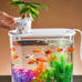 fish tank