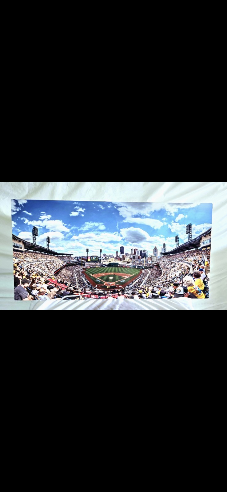 pittsburgh pirates stadium metal picture