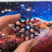 Cosmic Cliffs Infinity Puzzle - james webb telescope galaxy wood jigsaw puzzle