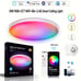 2700-6500K 30W 12 RGB+CCT WiFi+Ble+2.4G Smart Ceiling Light-M3SD