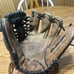 RAWLINGS D1175BDB Premium Series Leather Infielder Baseball Glove (11.75”) RHT