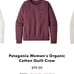 patagonia sweatshirt