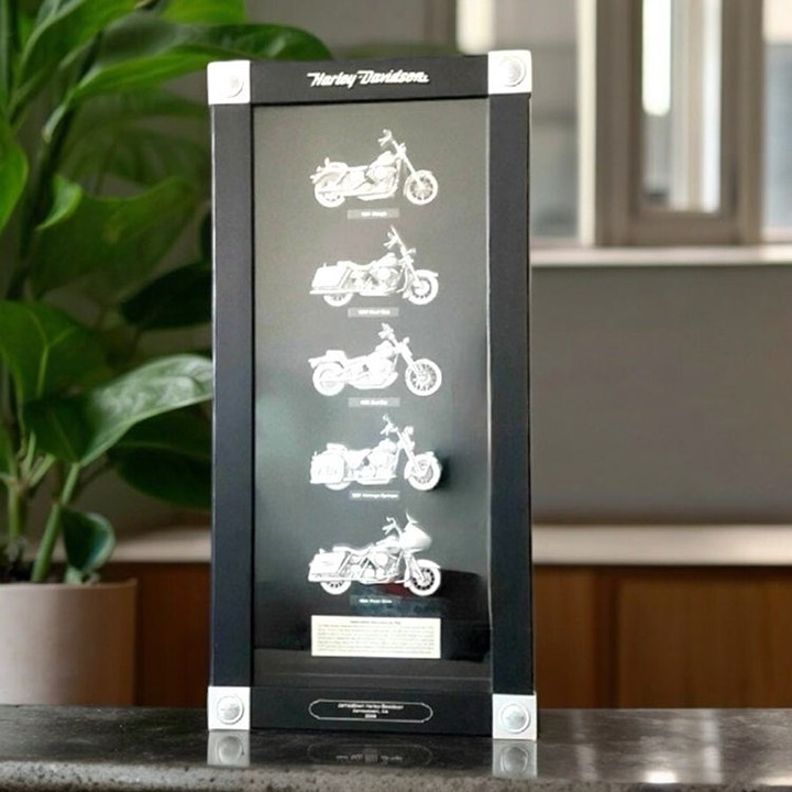 EUC Framed Harley Davidson Collection of Bikes 2008 Shadow Box Display 25"