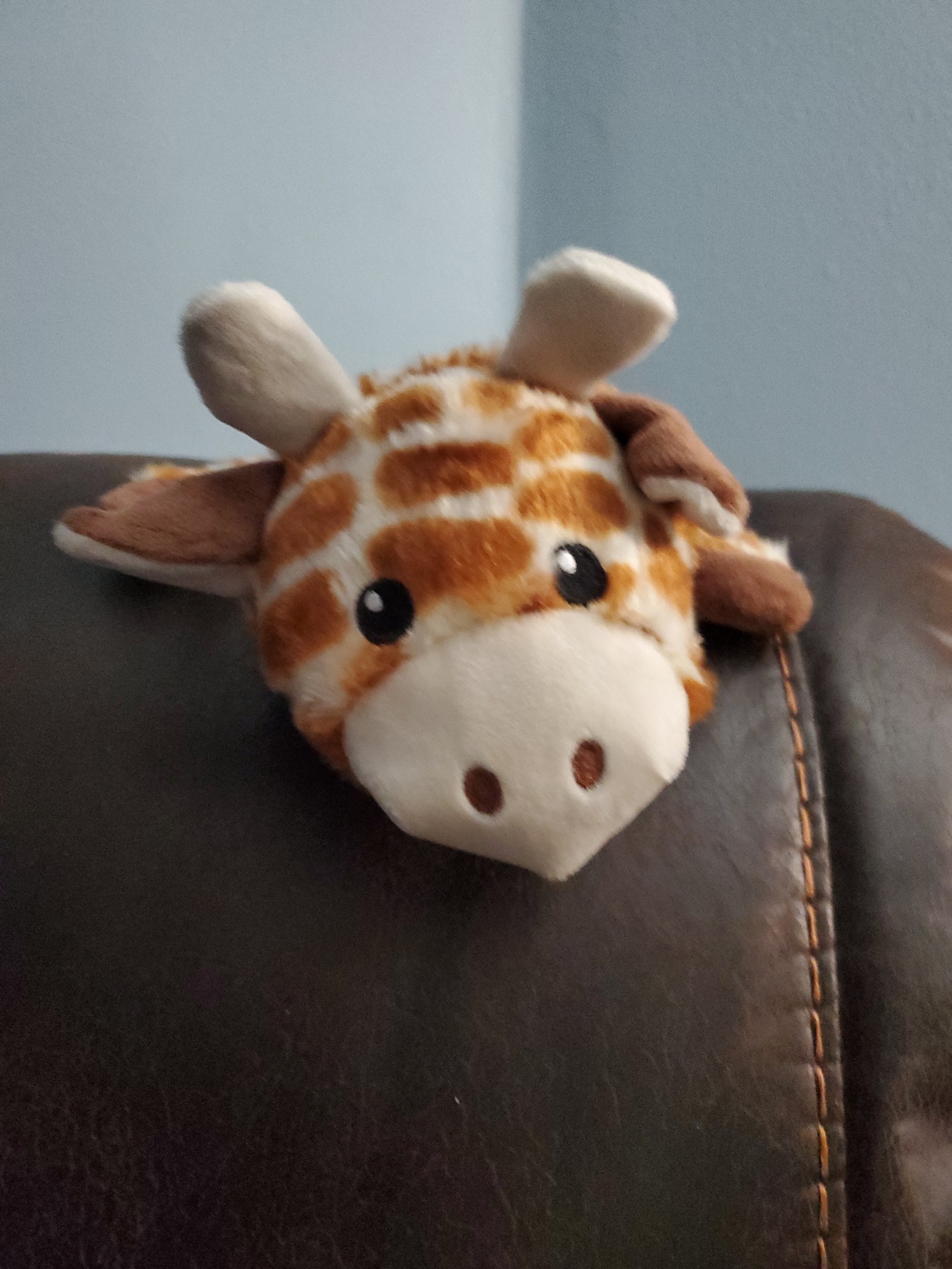 Giraffe dog toy.
