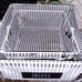 Rae Dunn FRUITS & VEGGIES LARGE baskets