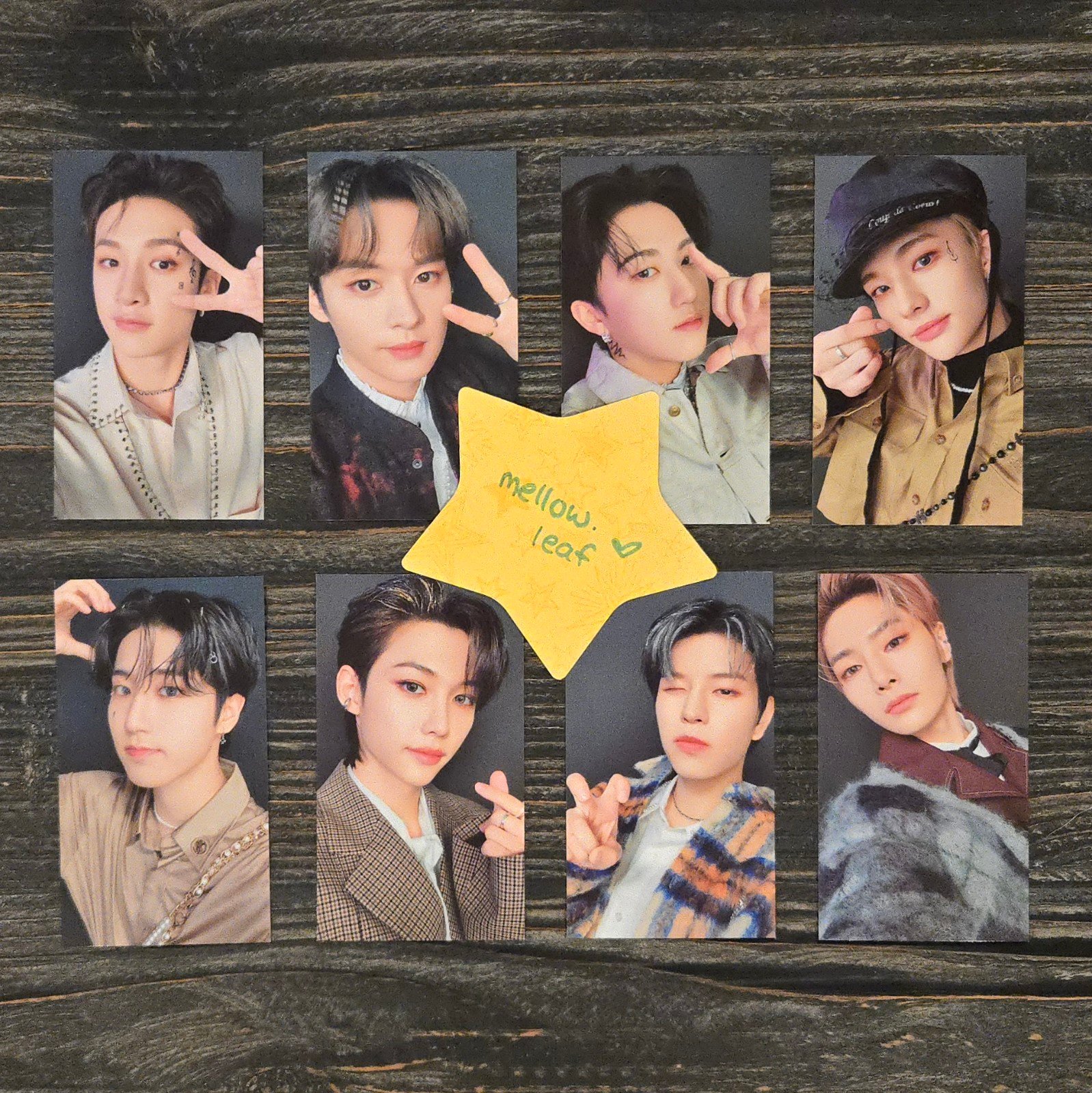 Stray Kids The Sound Standard Version Photocard Set