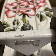 penny skateboard