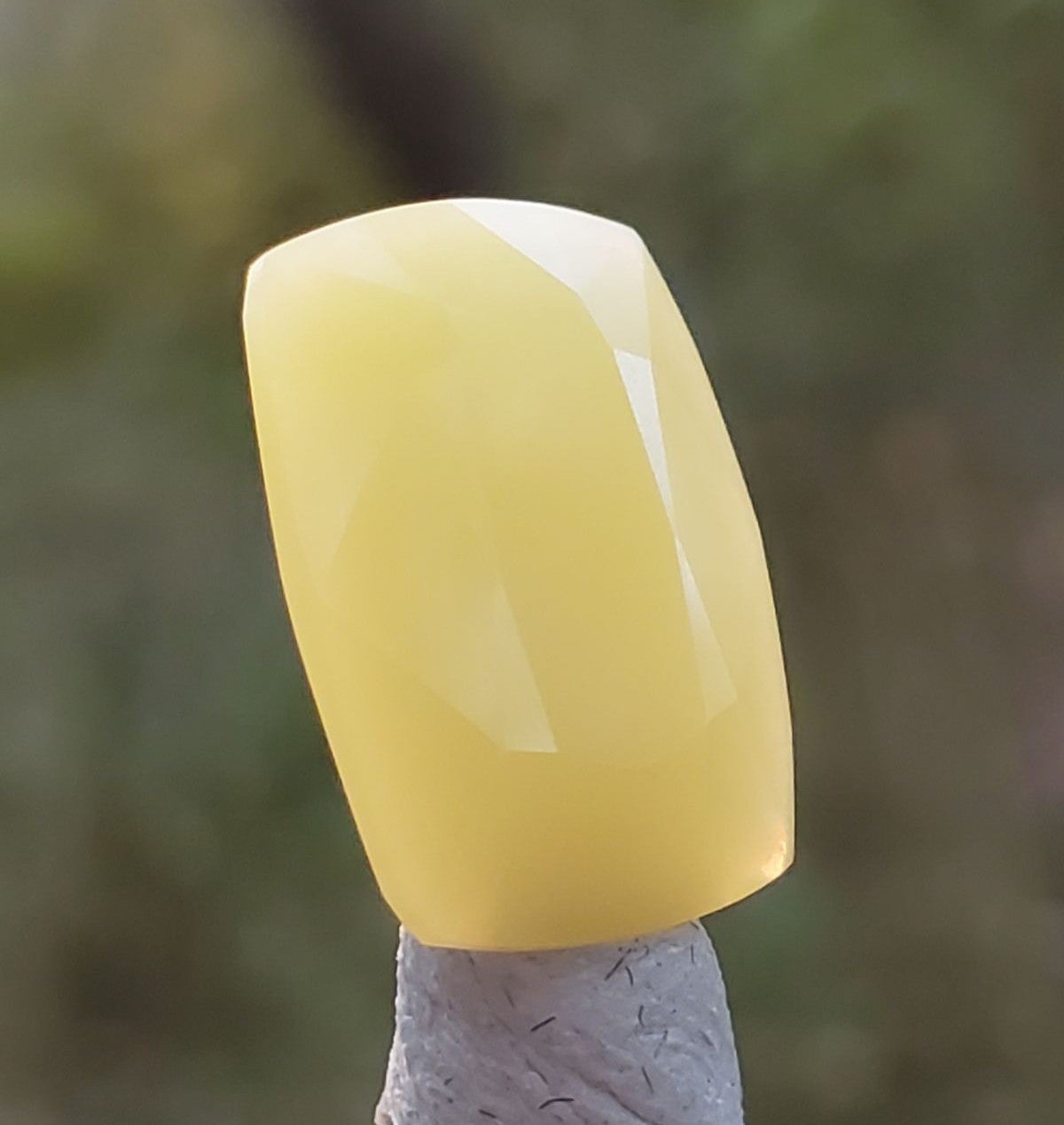 Rare Yellow Serpentine, Pakistan