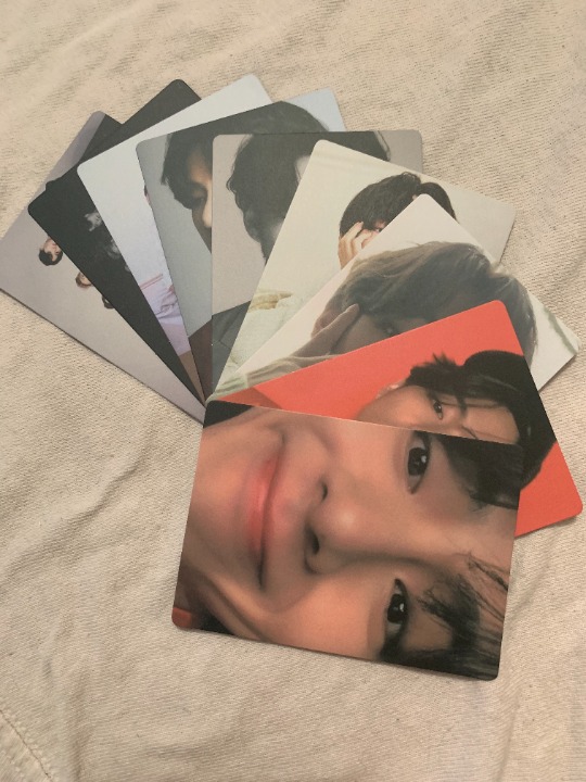 BTS dicon